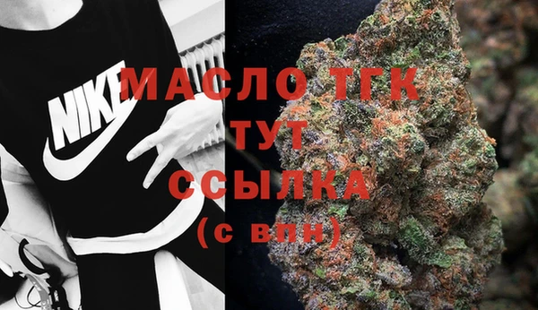 индика Нефтекумск
