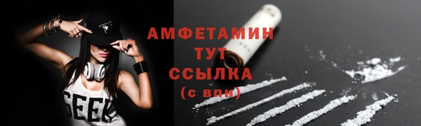 индика Нефтекумск