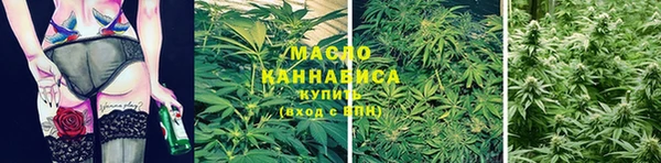 индика Нефтекумск