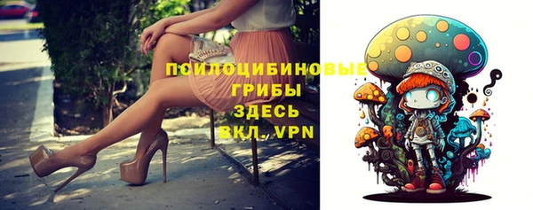 индика Нефтекумск